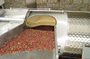 Domaine viticole Mathis Bastian