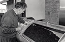 Domaine viticole Mathis Bastian