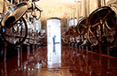 Domaine viticole Mathis Bastian