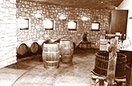 Domaine viticole Mathis Bastian