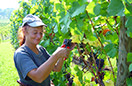 Domaine viticole Mathis Bastian