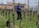 Domaine viticole Mathis Bastian