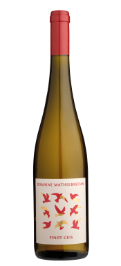 Étiquette Pinot Gris